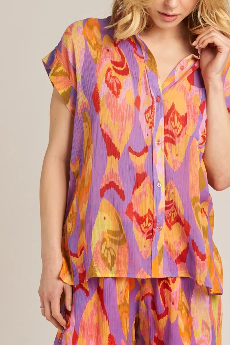 Color Book Button Down