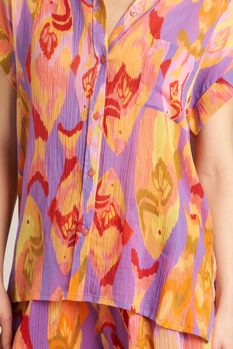 Color Book Button Down