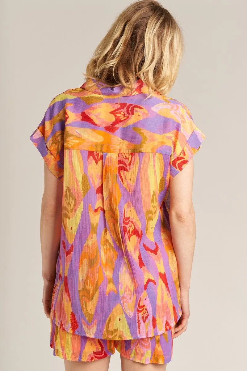 Color Book Button Down