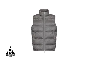 Dior Oblique Down Vest "Grey"