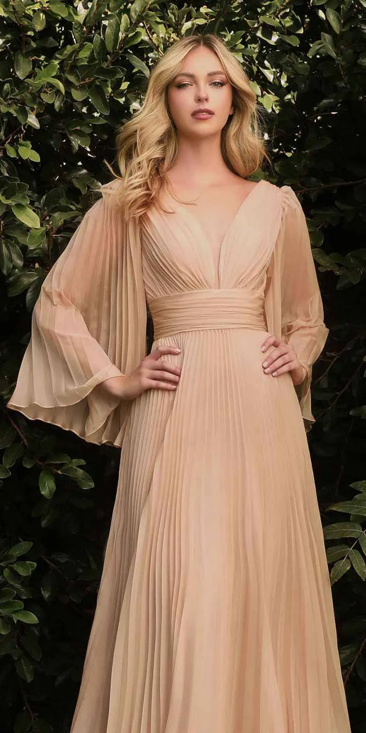 Ladivine CD242s Pleated Chiffon Long Sleeve Tea Length Gown