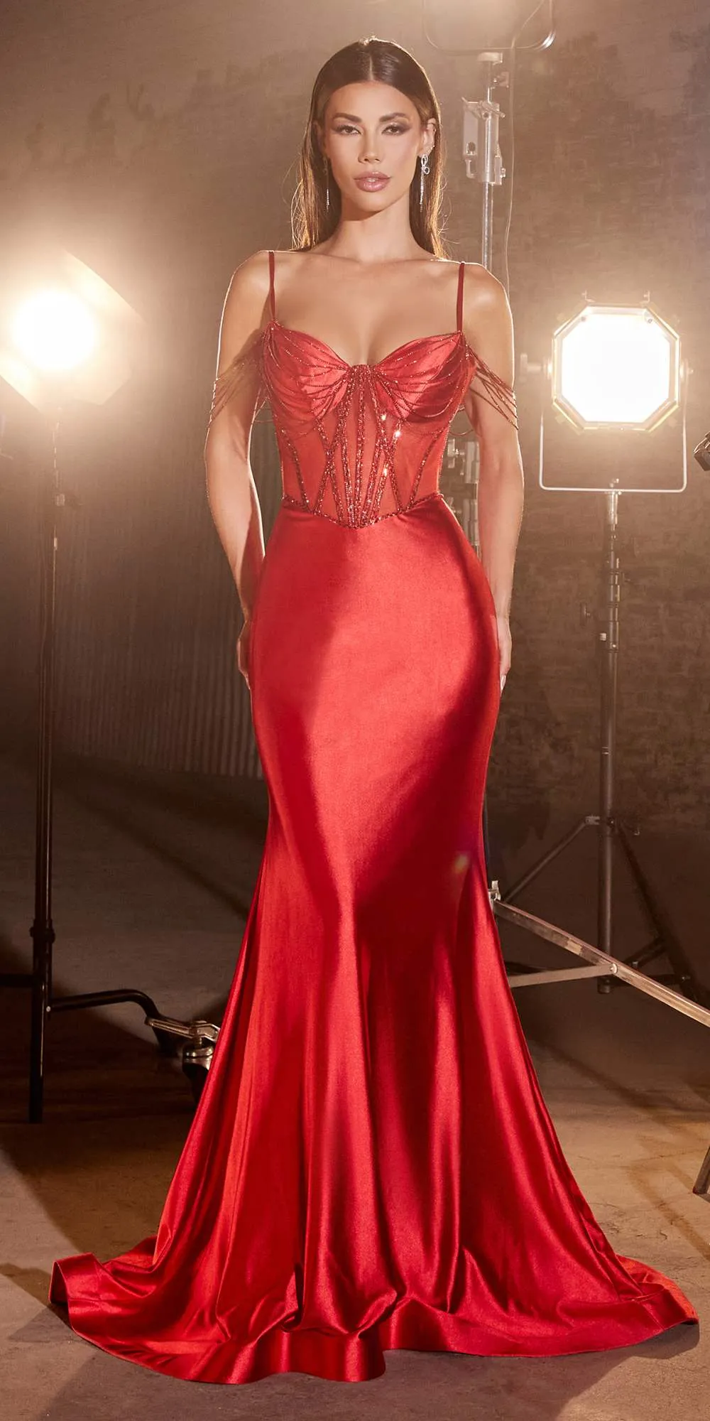 Ladivine CD820 Long Sexy Sheer Boned Bodice Draped Sides Evening Gown