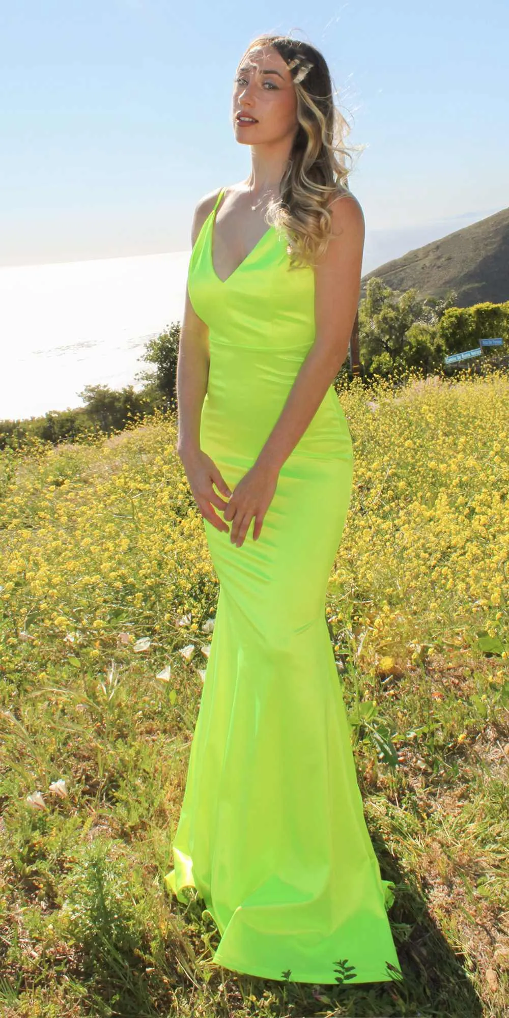 Ladivine SE016 Long Fitted Semi Formal Gown by Amoris