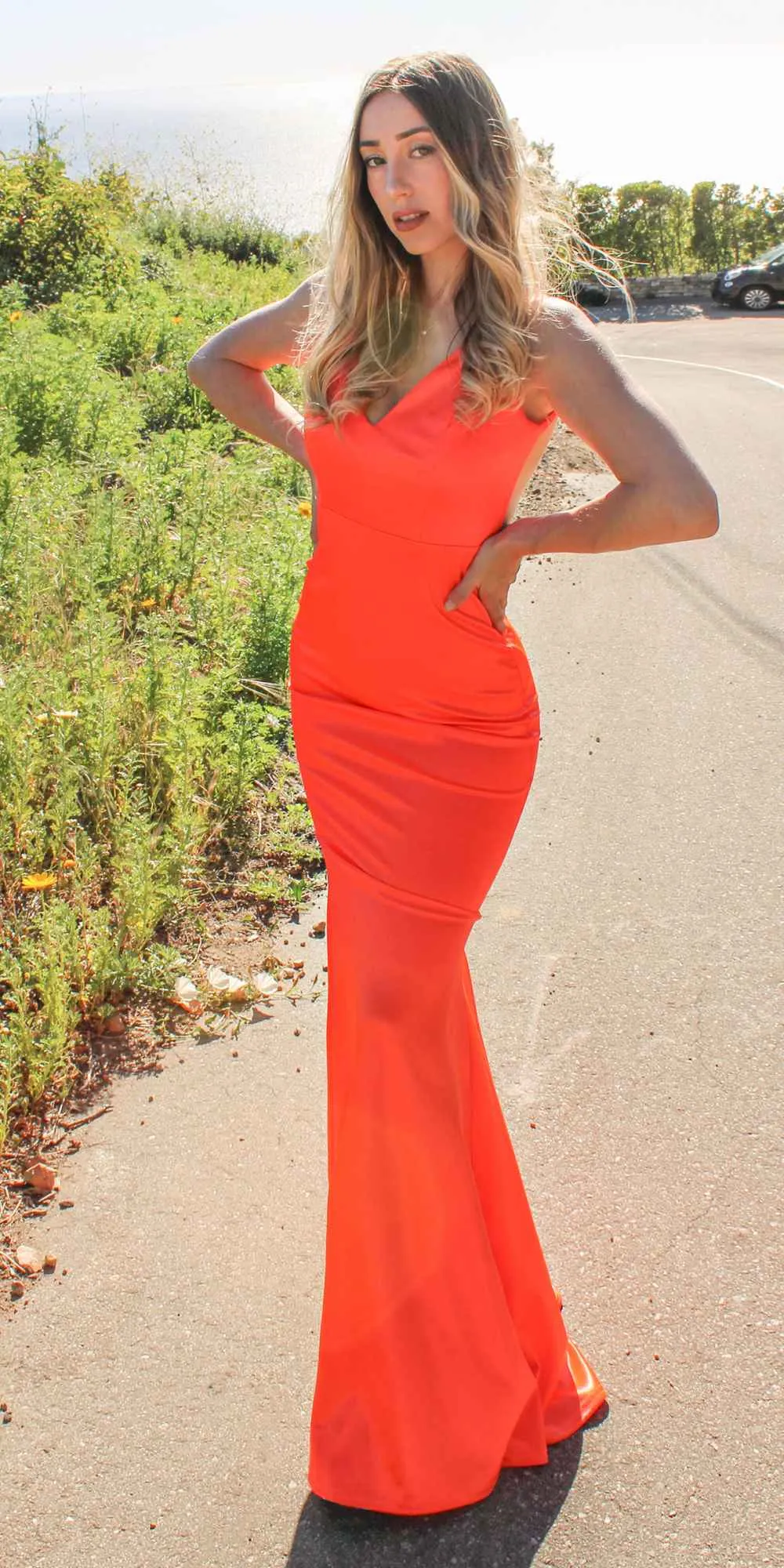 Ladivine SE016 Long Fitted Semi Formal Gown by Amoris