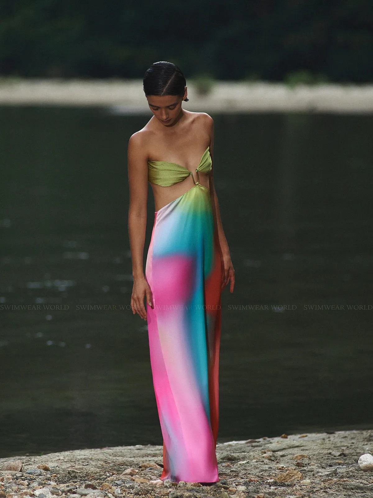 Voila Dress